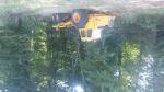 Rückezug / Forwarder VOLVO 868  |  Forsttechnik | Holzverarbeitungs-Maschinen | Adam