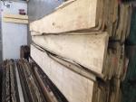 Linde Tischlerschnittholz |  Hartholz | Schnittholz | JAF HOLZ Slovakia