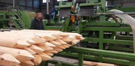 Andere Technik Kompletn výroní Linka kulů . |  Sägetechnik | Holzverarbeitungs-Maschinen | Drekos Made s.r.o