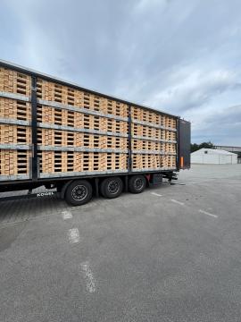 Paletten Einwegpaletten | Verpackungen, Paletten | Woodproo s.r.o.