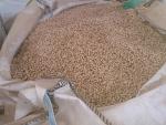 Pellets Kiefer |  Brennstoff, Briketts | CON-PAK s.r.o