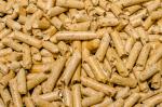 Pellets Kiefer |  Brennstoff, Briketts | PAMA Company SK,s.r.o.