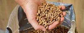 Pellets Fichte |  Brennstoff, Briketts | SCOPULUS Handels-und Dienstleistungs GmbH 