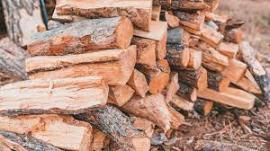 Brennholz Kiefer |  Brennstoff, Briketts | SCOPULUS Handels-und Dienstleistungs GmbH 