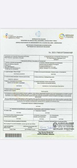 Teak Tischlerschnittholz |  Tropische Gehölze | Schnittholz | SOFT IT SP .ZO.O SPÓŁKA Z OGRANICZONĄ ODPO
