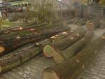 Eiche Sägerundholz |  Hartholz | Rundholz | P.P.H.U DAN-DREW 
